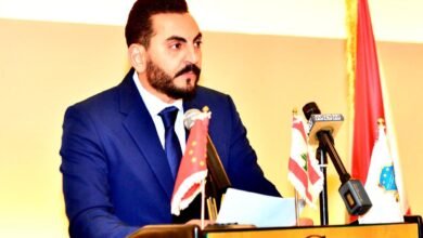 صورة توضيحية - رئيس اللوبي الإقتصادي الدولي نضع كافة إمكانياتنا بتصرف الدولة اللبنانية