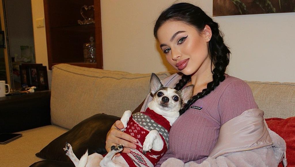 خبيرة التجميل مايا قواس تدعو لحماية الحيوانات ورعايتها - صورة مميزة صورة مميزة: خبيرة التجميل مايا قواس تدعو لحماية الحيوانات ورعايتها