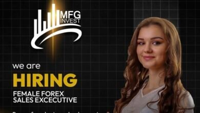 صورة توضيحية - MFG invest والترخيص الدولي ما الذي يجب معرفته؟