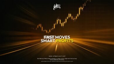 صورة توضيحية - MFGinvest تطوّر خدماتها المالية لتلبية تطلعات المستثمرين