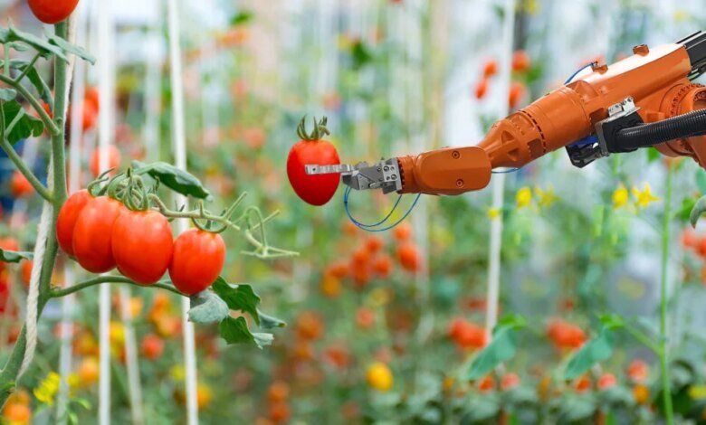ثمار المستقبل كيف تغير التكنولوجيا الحيوية البساتين ومزارع التوت